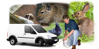 Mansfield Woodhouse local van